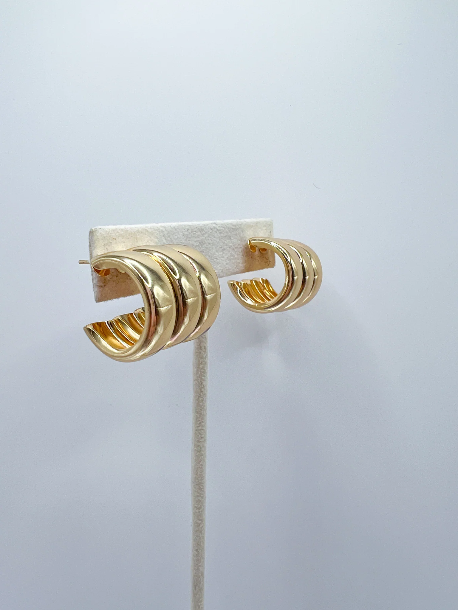Nicole Hoop Earring